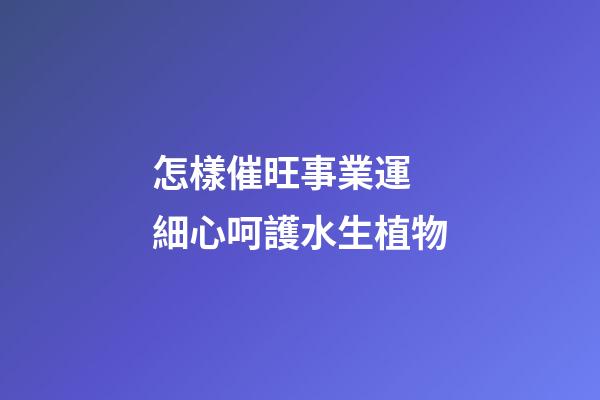 怎樣催旺事業運 細心呵護水生植物